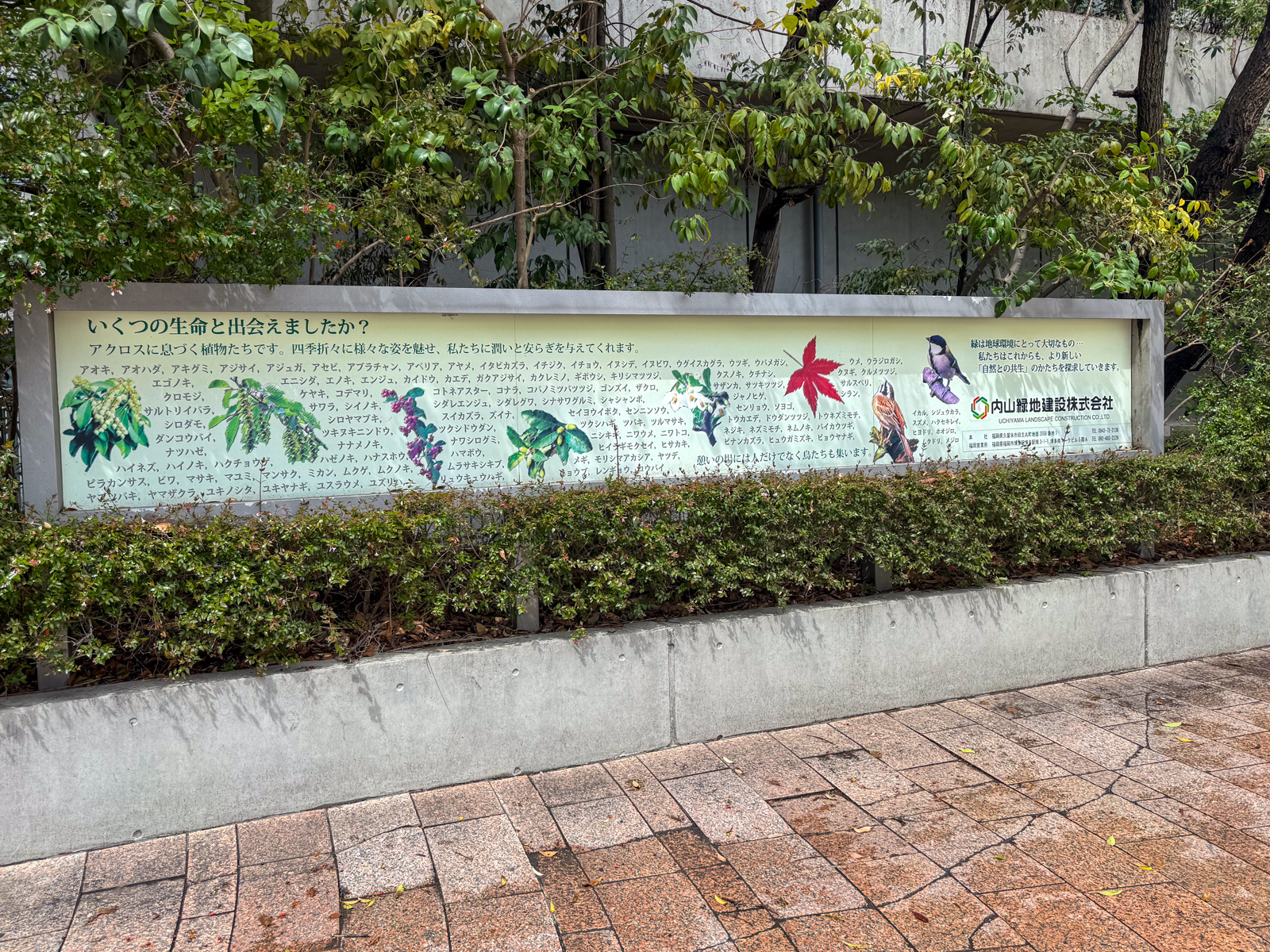 緑化テラスの植物案内板。「いくつの生命と出会えましたか？」という問いが刻まれている